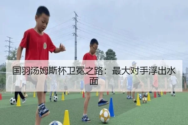 国羽汤姆斯杯卫冕之路：最大对手浮出水面